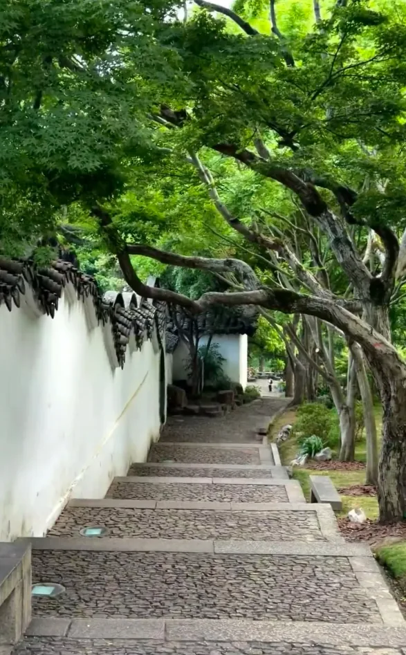 Tiger Hill: stone steps climbing the wooded hill